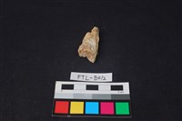 獸骨藏品圖，第1張