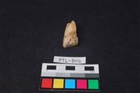 獸骨藏品圖，第2張