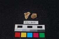 獸骨藏品圖，第1張