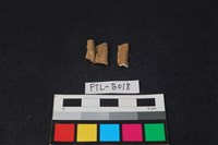 獸骨藏品圖，第2張