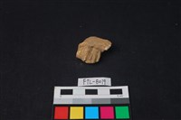 獸骨藏品圖，第2張