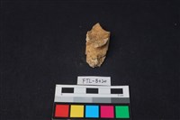 鹿骨藏品圖，第1張