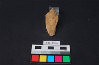 鹿骨藏品圖，第2張