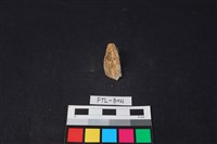 鹿骨藏品圖，第1張