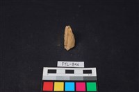 鹿骨藏品圖，第2張