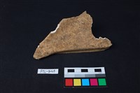 鹿骨藏品圖，第1張