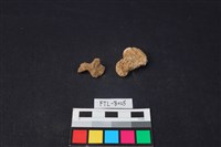 獸骨藏品圖，第2張