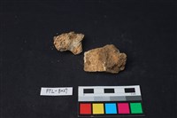 獸骨藏品圖，第1張