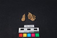 獸骨藏品圖，第1張