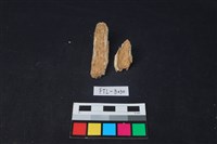 獸骨藏品圖，第1張