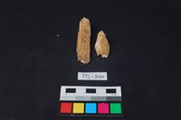 獸骨藏品圖，第2張