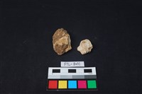 獸骨藏品圖，第2張