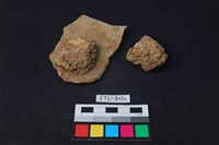 獸骨藏品圖，第1張