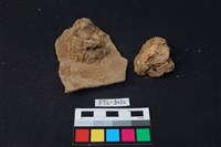 獸骨藏品圖，第2張