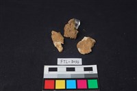 獸骨藏品圖，第2張