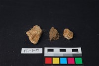 獸骨藏品圖，第1張