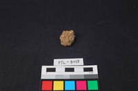 獸骨藏品圖，第1張