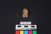 獸骨藏品圖，第1張