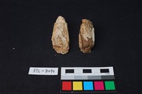 獸骨藏品圖，第2張