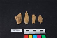 獸骨藏品圖，第2張