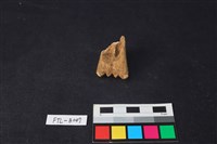 獸骨藏品圖，第2張