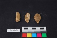 獸骨藏品圖，第1張