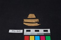 獸骨藏品圖，第2張