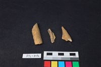 獸骨藏品圖，第2張