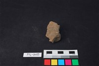 獸骨藏品圖，第1張