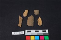 獸骨藏品圖，第1張