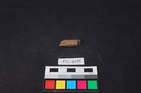 獸骨藏品圖，第1張