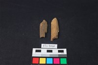 獸骨藏品圖，第2張