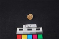 獸骨藏品圖，第2張