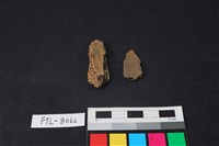 獸骨藏品圖，第1張