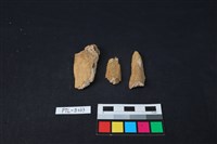 獸骨藏品圖，第2張