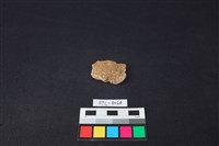 獸骨藏品圖，第1張