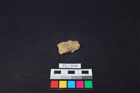 獸骨藏品圖，第2張