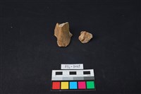 獸骨藏品圖，第1張