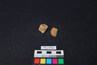 獸骨藏品圖，第2張