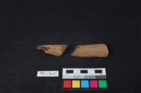 獸骨藏品圖，第2張