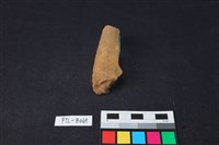 獸骨藏品圖，第2張