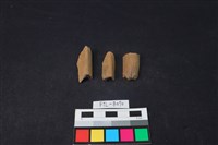 獸骨藏品圖，第2張