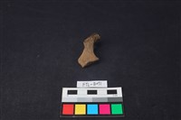 獸骨藏品圖，第2張