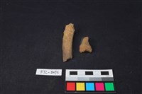 獸骨藏品圖，第2張