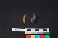 獸骨藏品圖，第1張