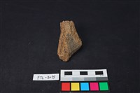 獸骨藏品圖，第2張