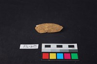 獸骨藏品圖，第3張