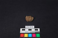 獸骨藏品圖，第1張