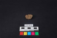 獸骨藏品圖，第2張