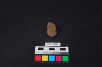 獸骨藏品圖，第1張